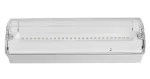 كشاف طوارئ  LED Bulkhead – مقاومة للماء والغبار (IP65)